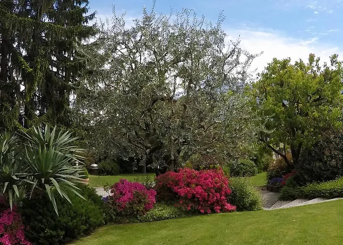 Abies Di דירה דונגו