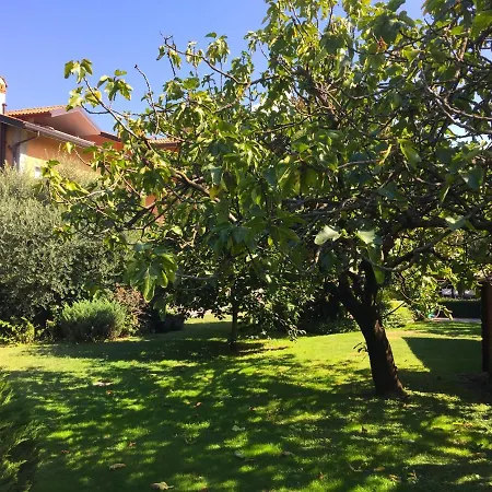 Abies Di דירה