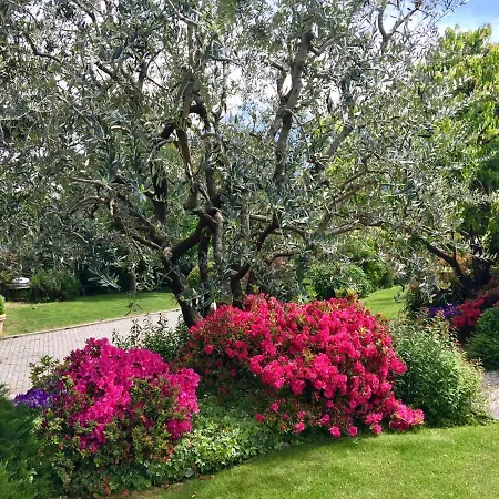 Lägenhet Abies Di