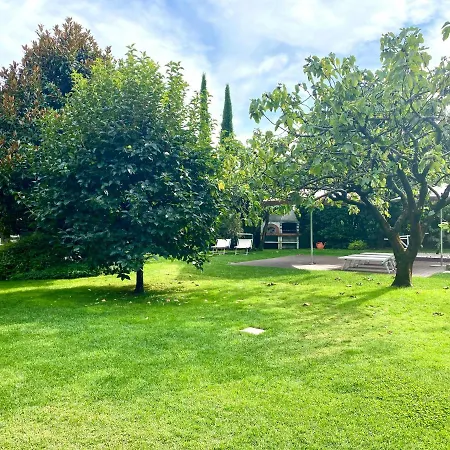 Abies Di דונגו