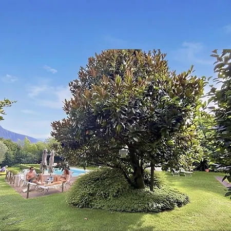 Appartamento Abies Di Dongo