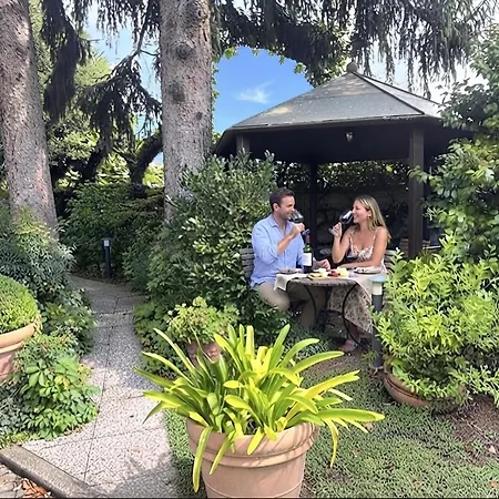 Abies Di דונגו
