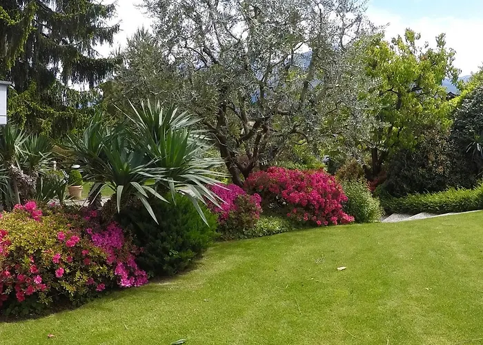 Apartmán Abies Di Dongo