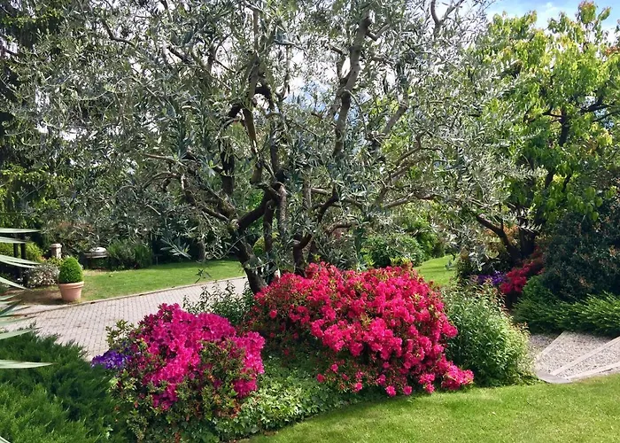 Apartamento Abies Di