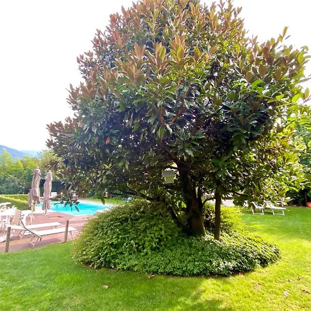 Abies Di Lejlighed Dongo