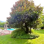 Abies Di Lägenhet Dongo